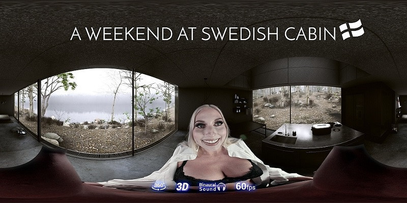 A Weekend at Swedish Cabin