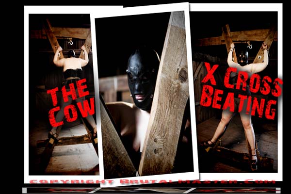 The Cow - X-Cross Beating 1