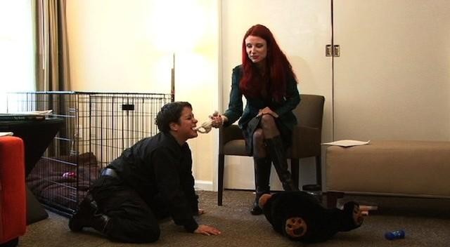 Fully Immersive Dog & Pup Training: Introduction