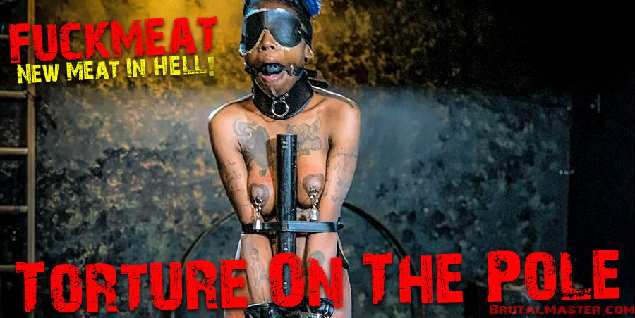Fuckmeat Torture On the Pole