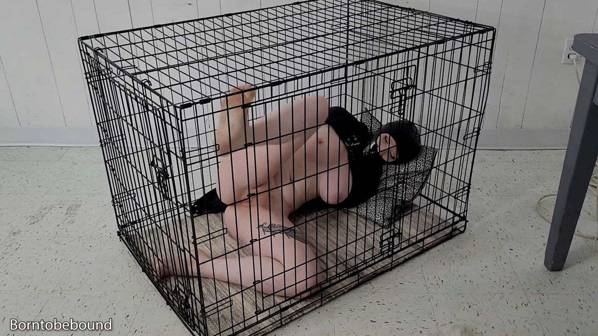 Another failed escape attempt for Izzie made things worse for her