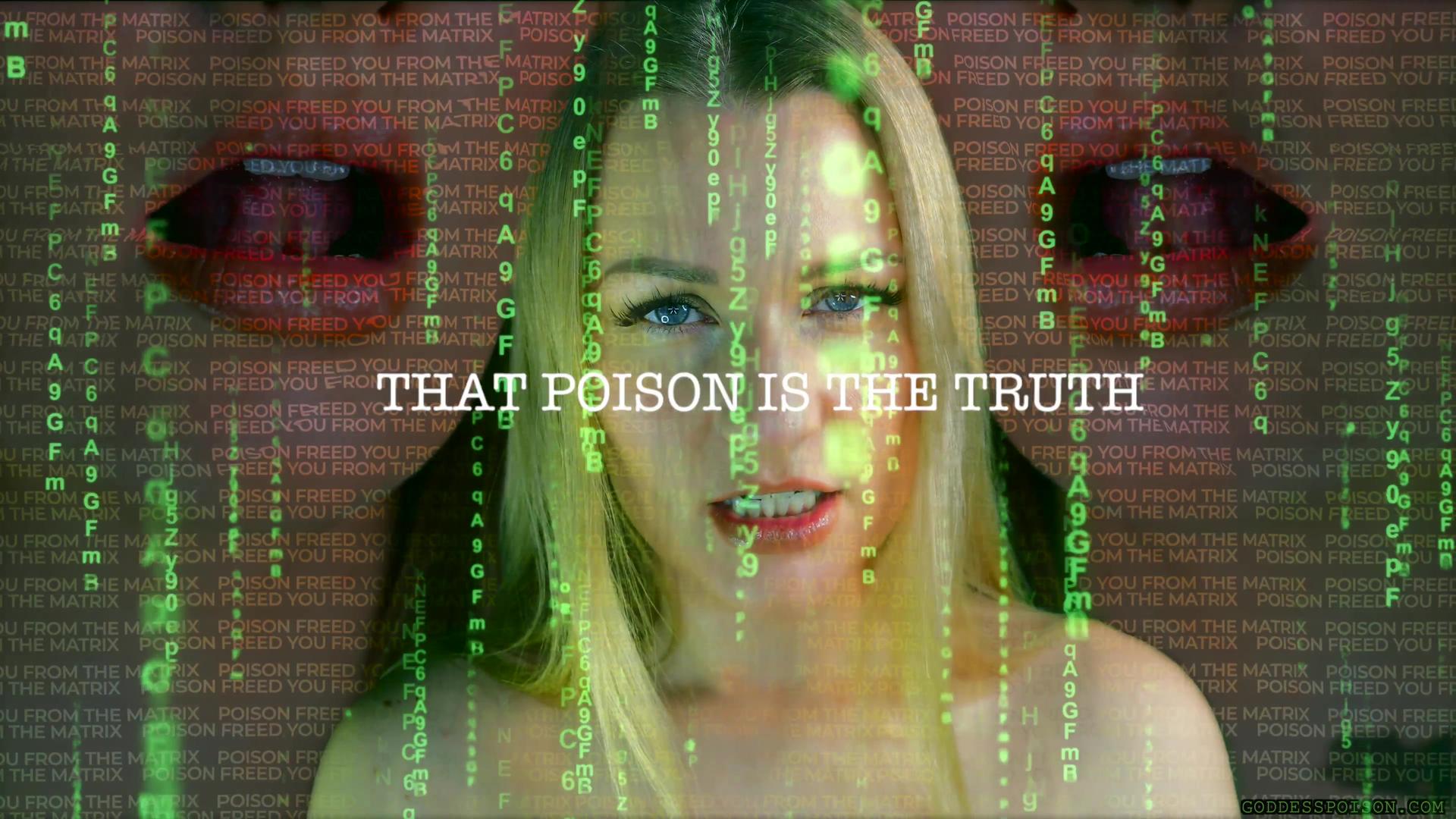 FREE YOUR MIND - UNPLUGGED