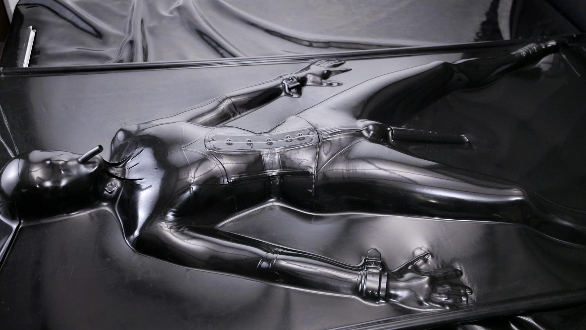Shined & Sealed