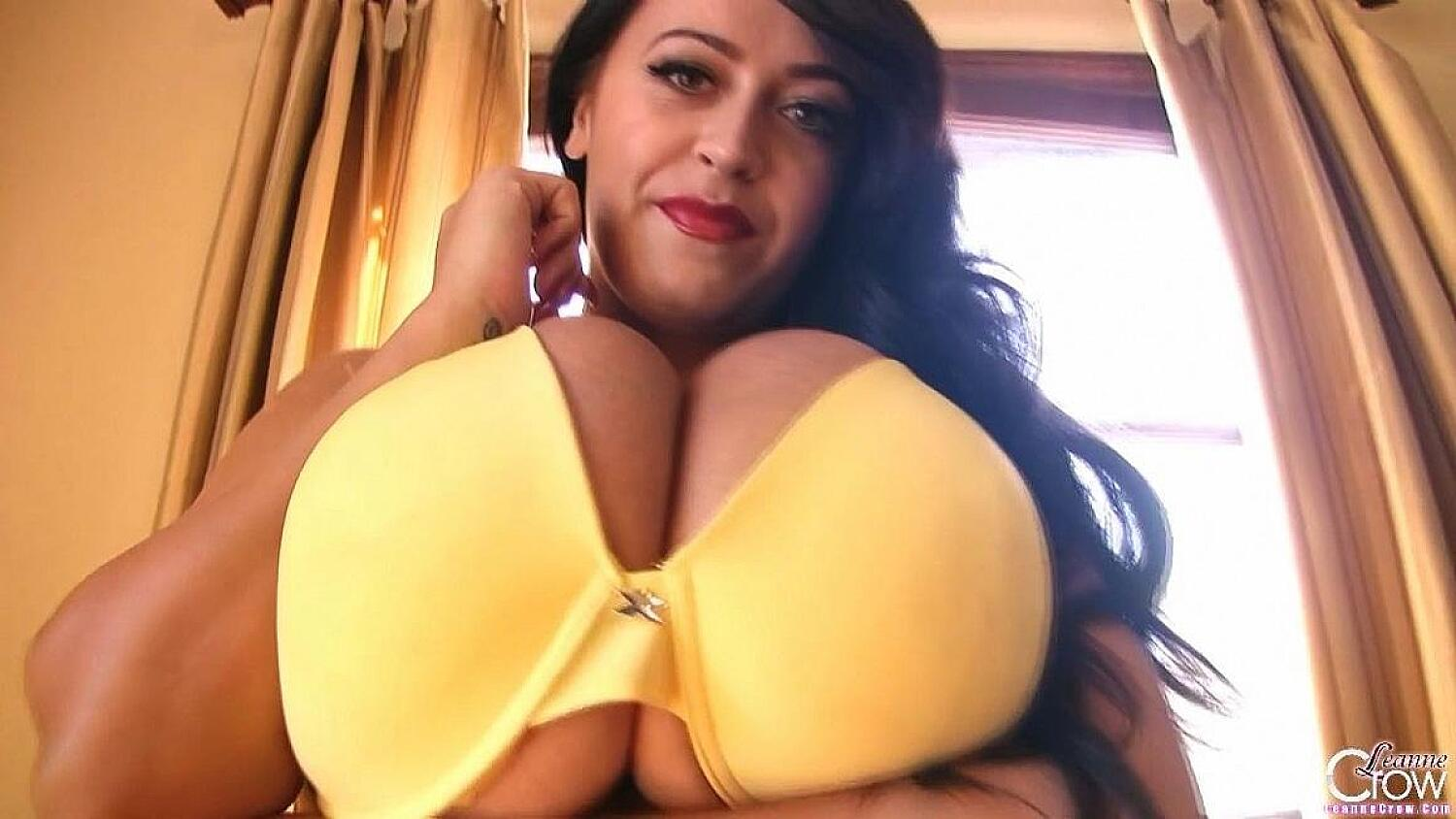 Yellow Lace 2