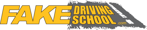 Fake Driving School