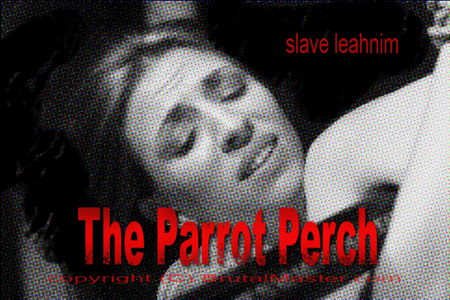 Leahnim - The Parrot Perch