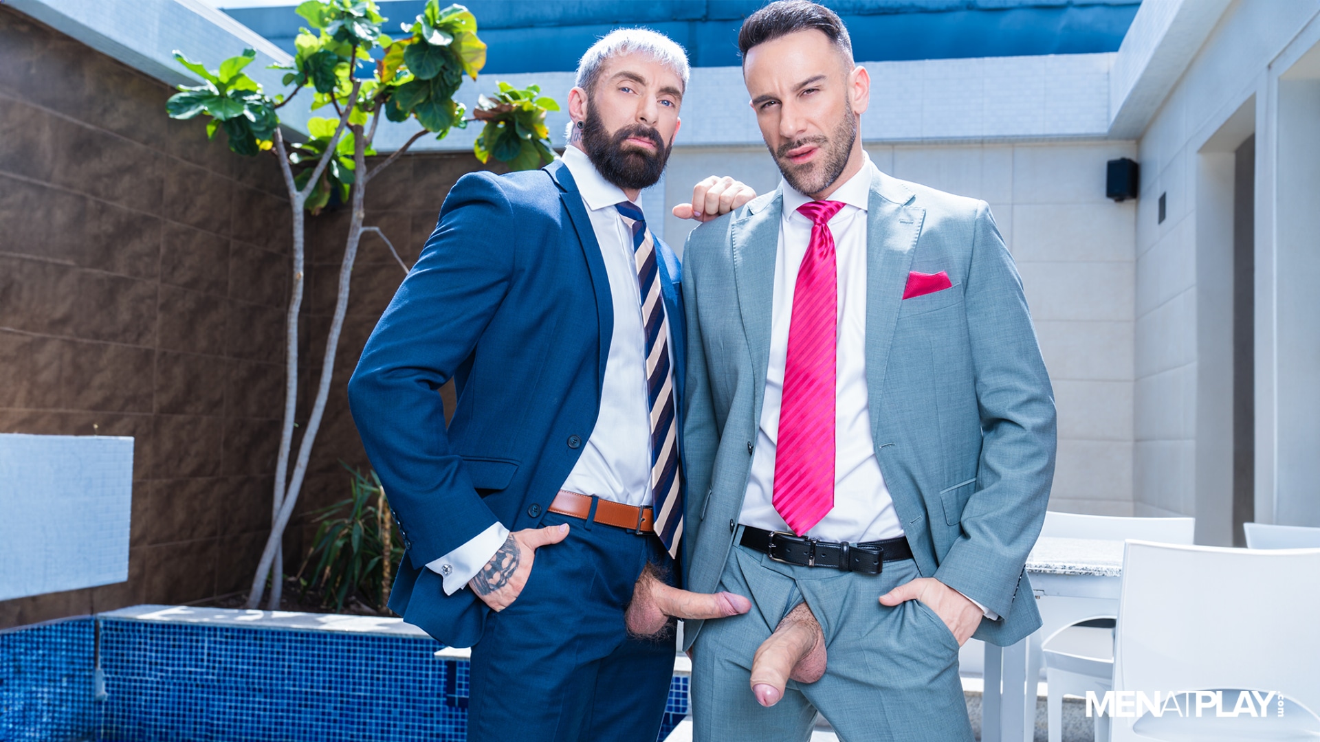 Diary of a Gigolo: Travel Companion