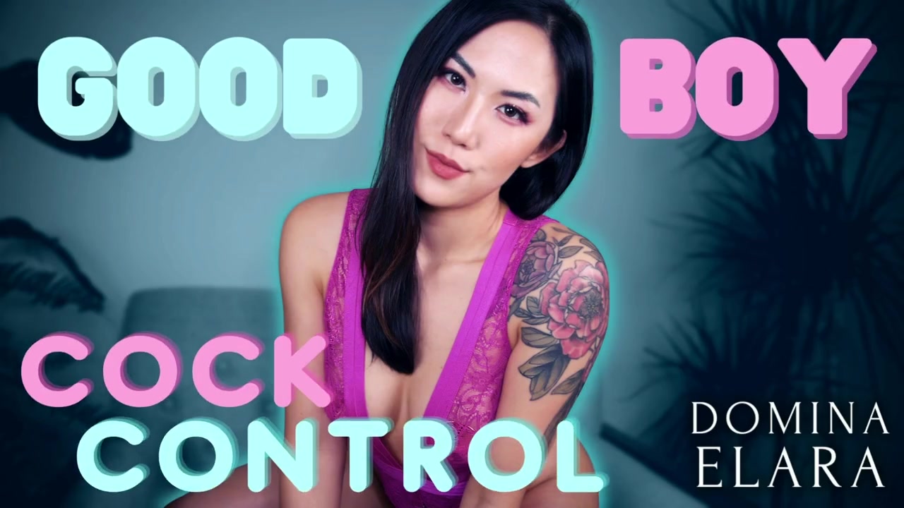 Good Boy Cock Control