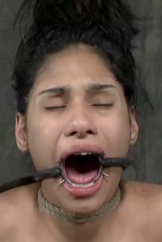 Photo HD Sweetness - 7