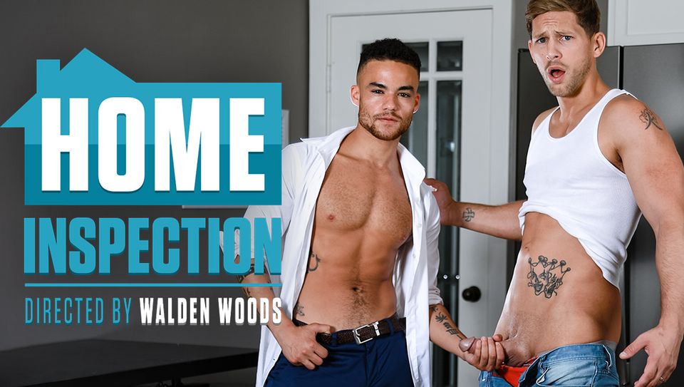 Home Inspection