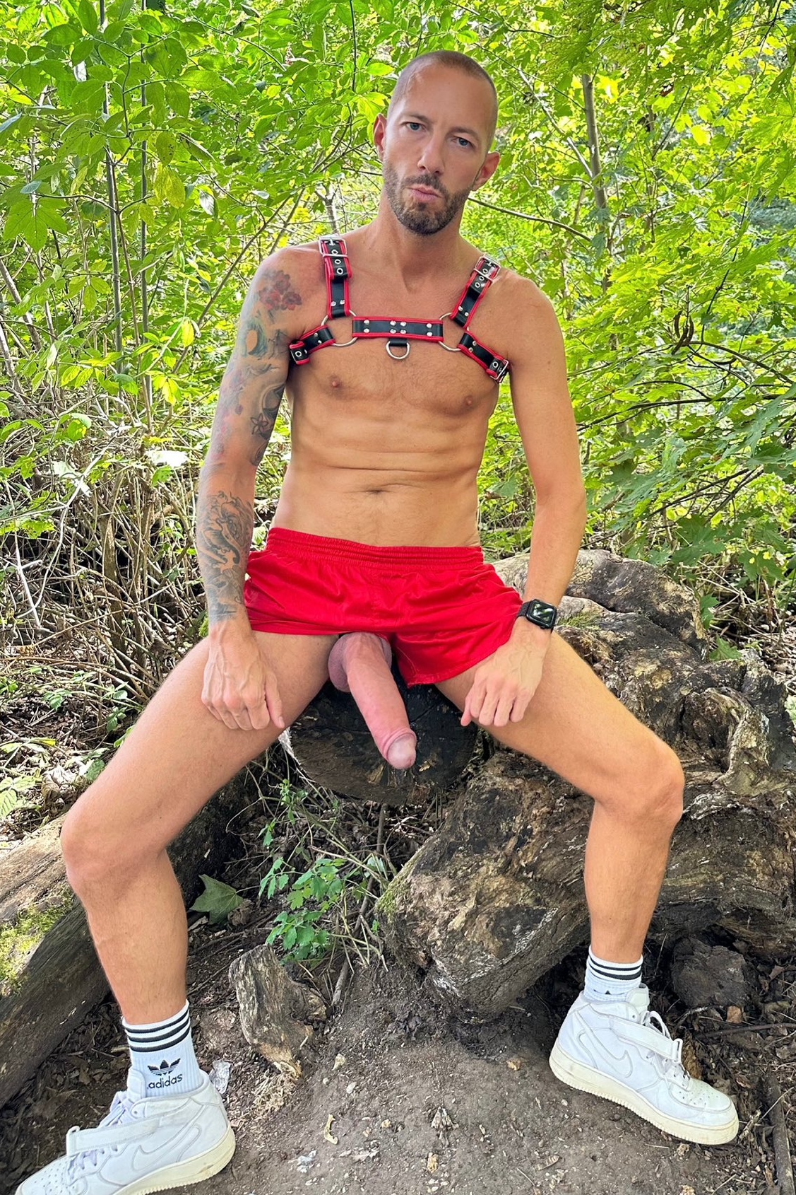 Cedric Dreamer Timtales