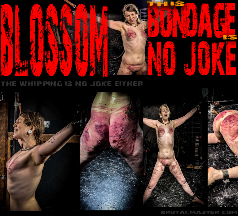Blossom - This Bondage Is No Joke