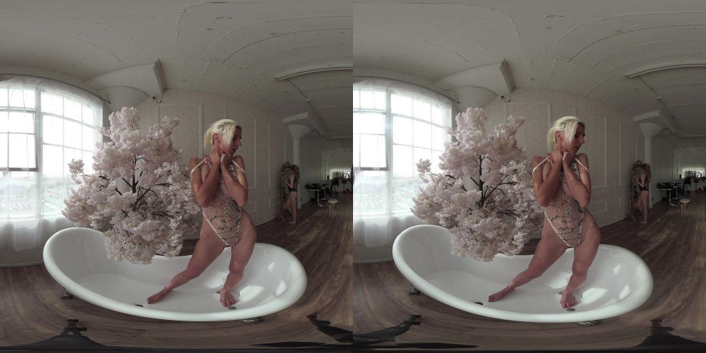 Cherry Blossom VR