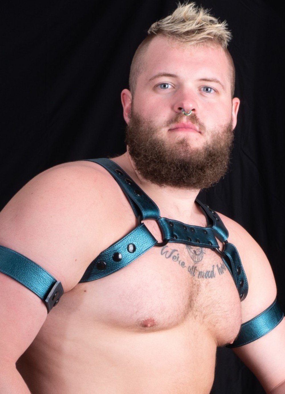 Lion Reed Bear Films