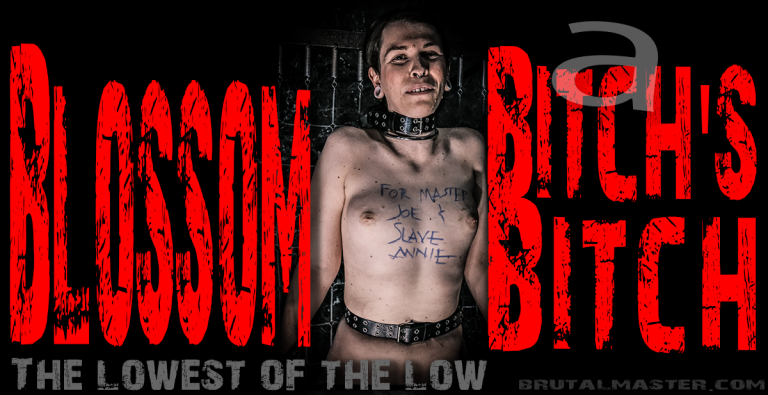 Blossom - A Bitch’s Bitch