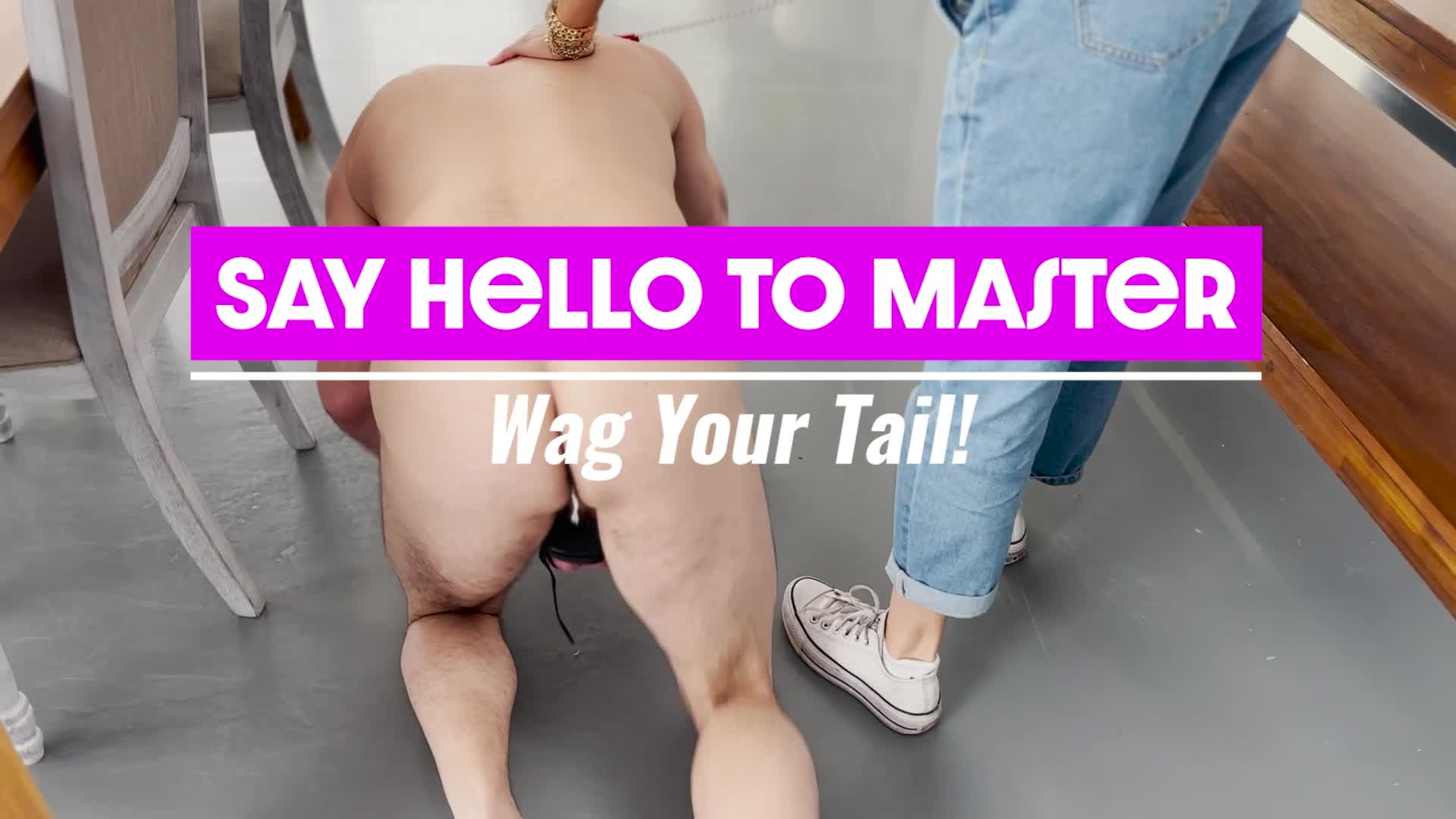 Say Hello to Master: Wag Your Tail!