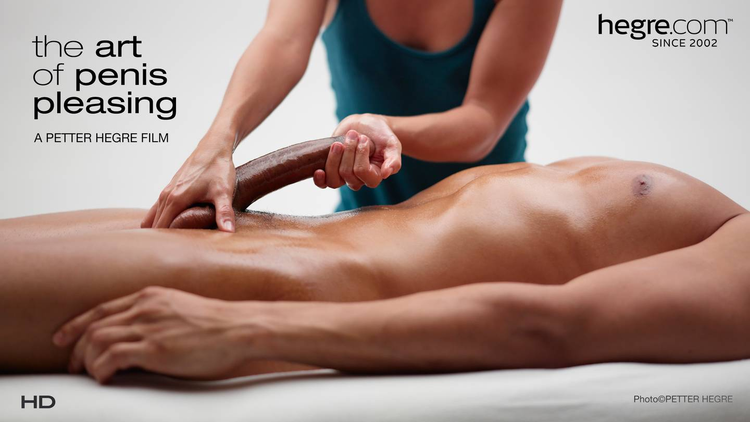 The Art of Penis Pleasing