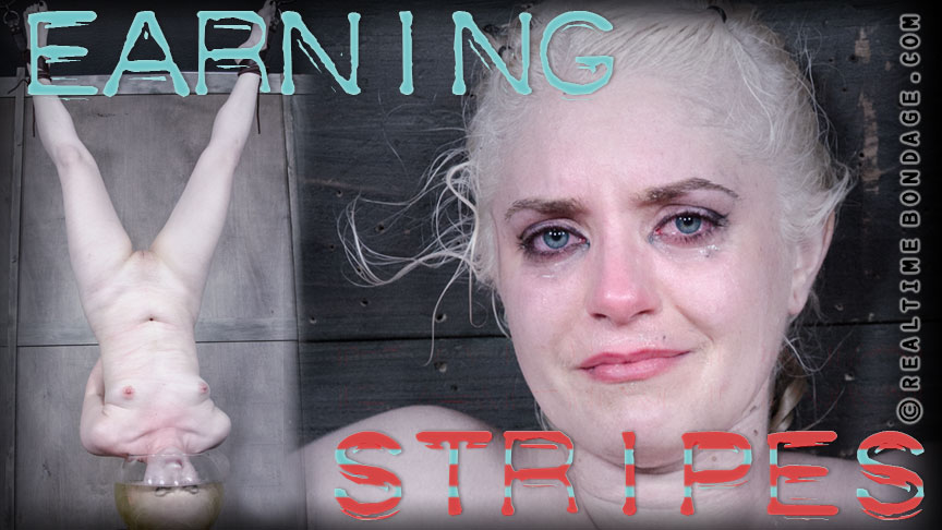 Earning Stripes Part 3