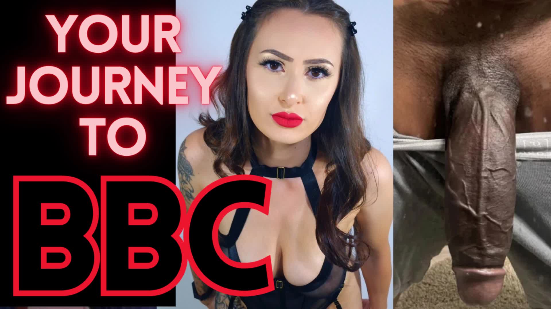 BBC Addict