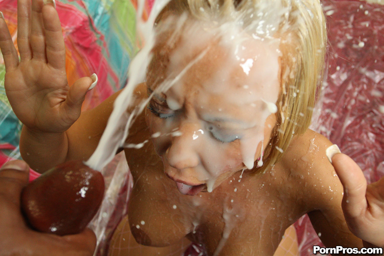 Alley Cat Pussy Austin Taylor