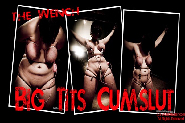 Wench - Big Titted Cumslut