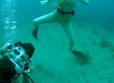 The Horny Dive Model