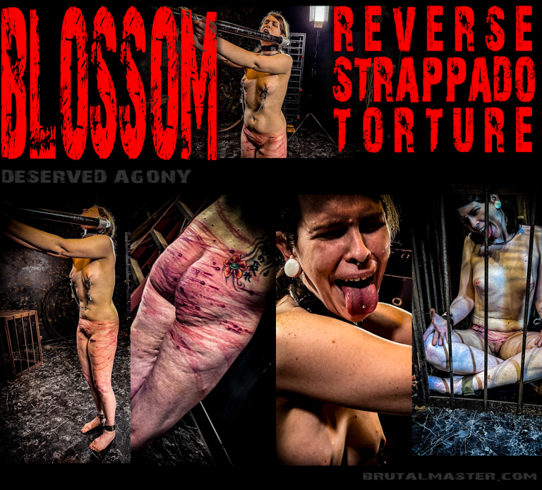 Blossom - Reverse Strappado Torture