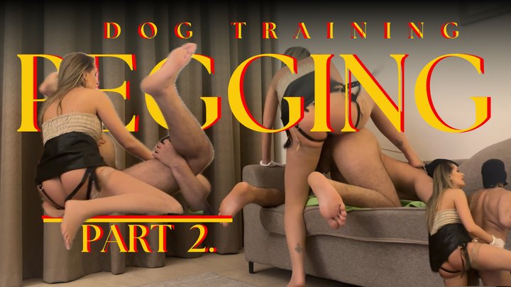 Training Pegging Part 2