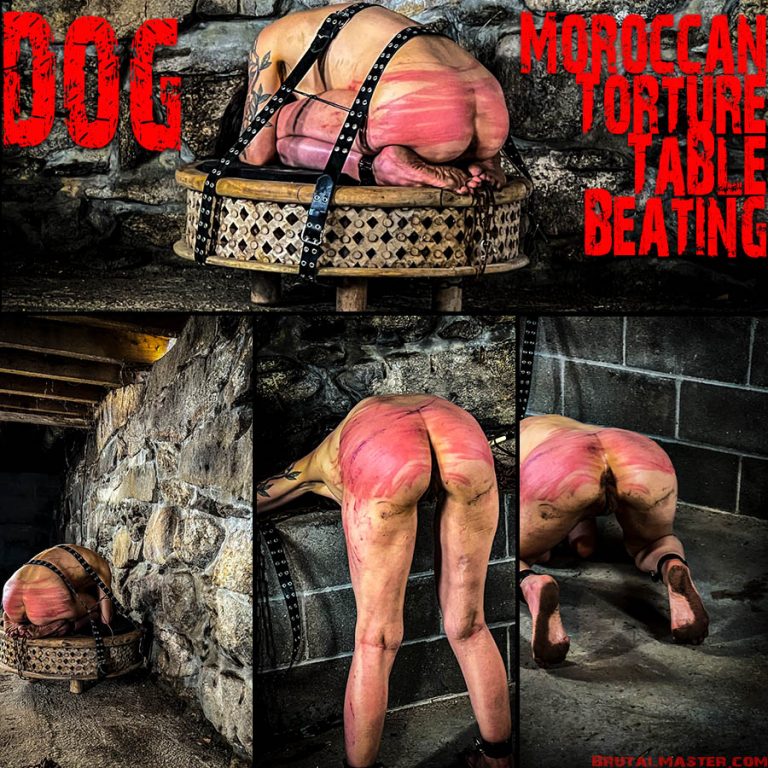 Dog - Moroccan Torture Table Beating