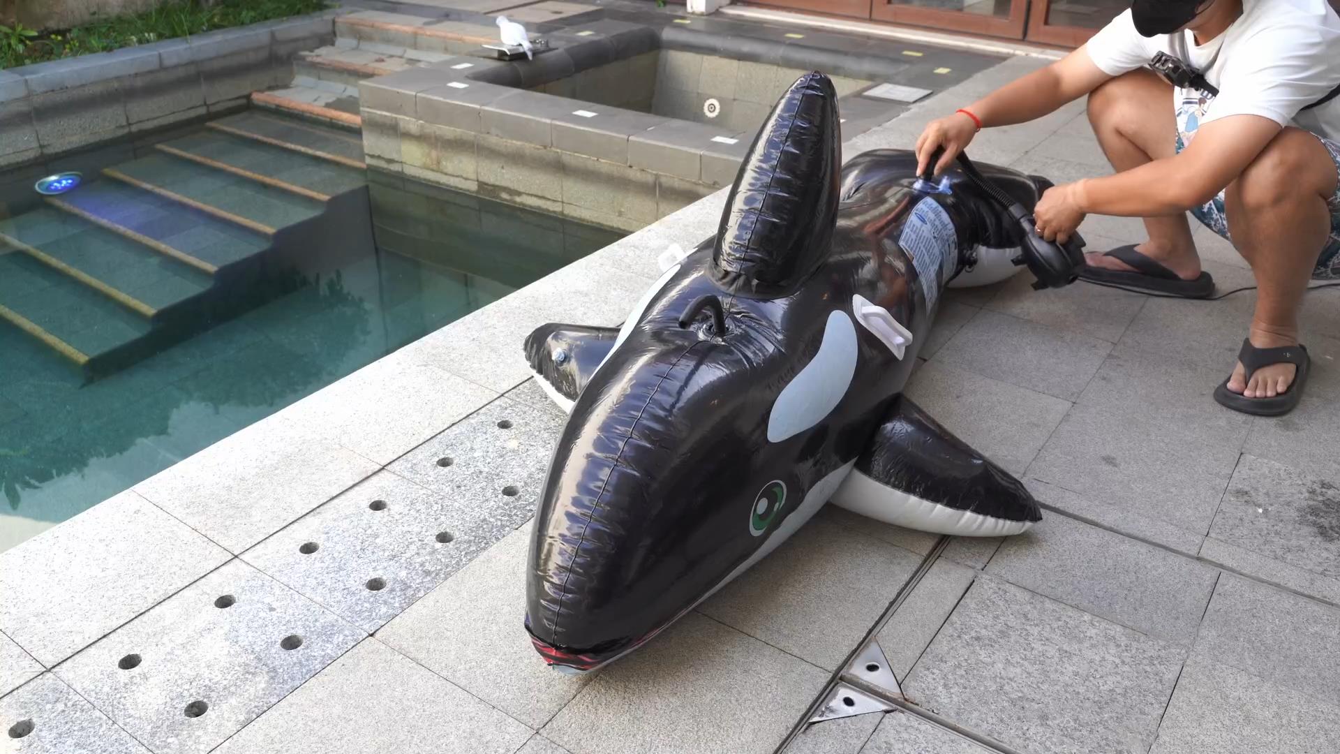 BOX_007