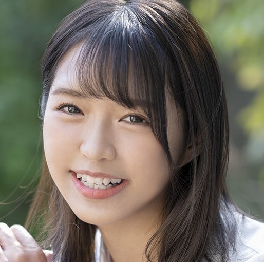 Mirai Horinaka Shark