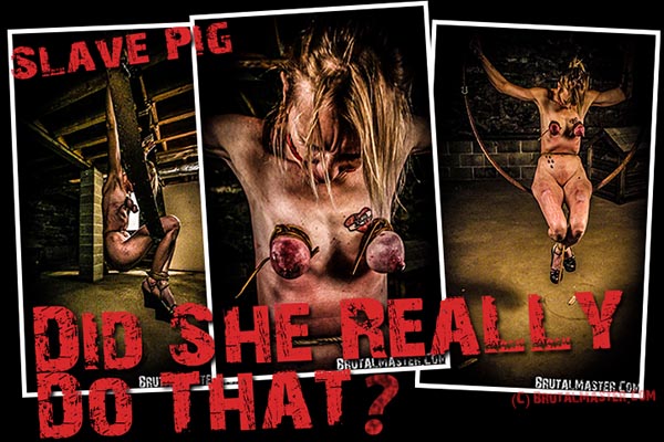 Slave Pig Did She Really Do That ?