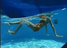 Neighbor's Pool