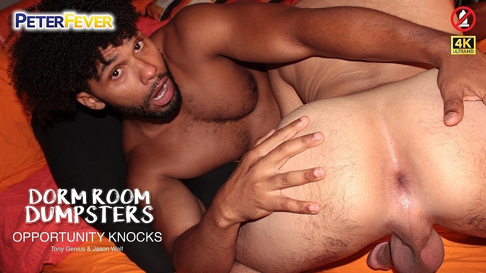 Dorm Room Fumpsters - Opportunity Knocks