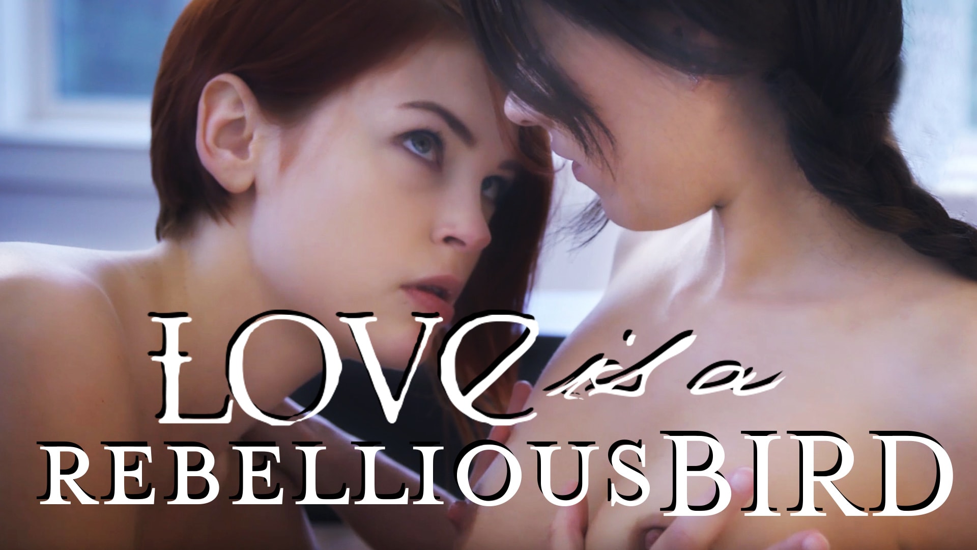 Love is a Rebellious Bird