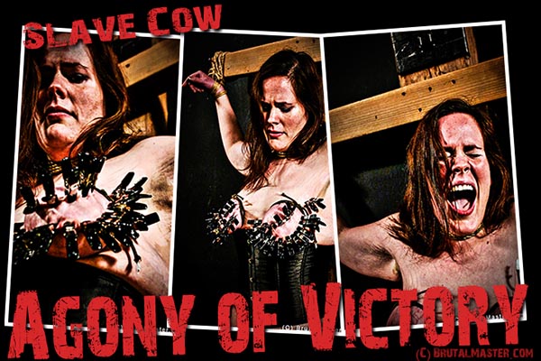 Slave Cow - Agony Of Victory