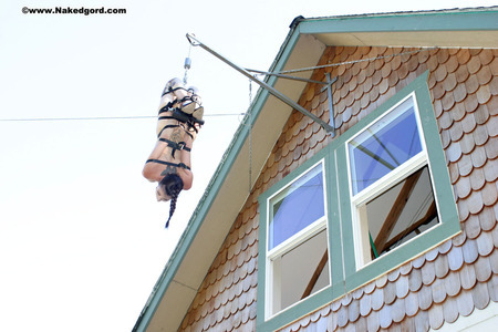 Dilemma of the Dangling Damsel