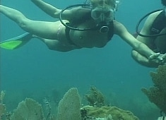 Reef Fuck