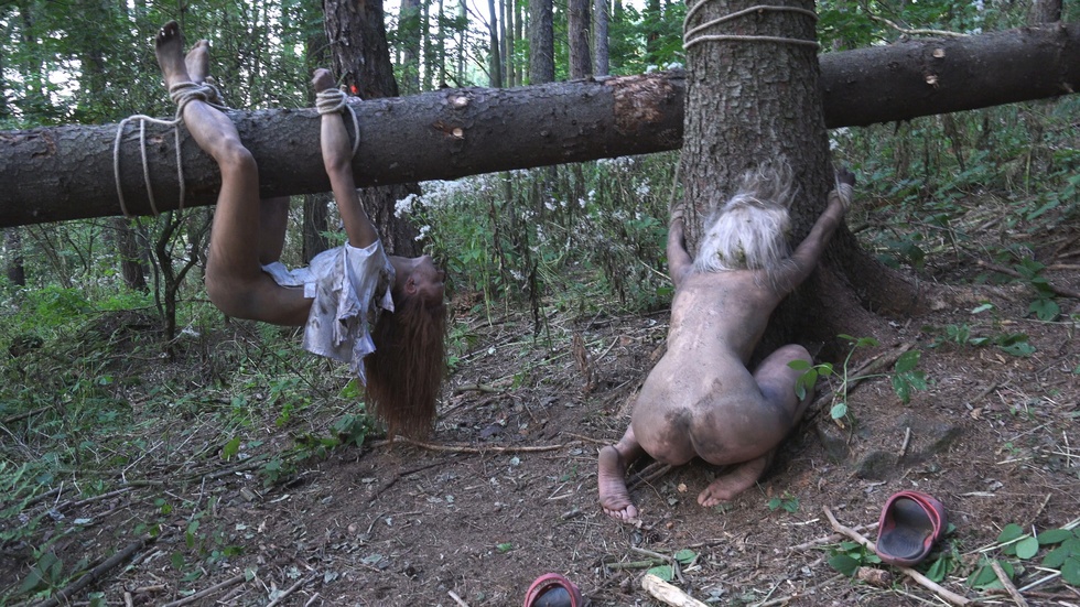 The Dark Side of the Woods