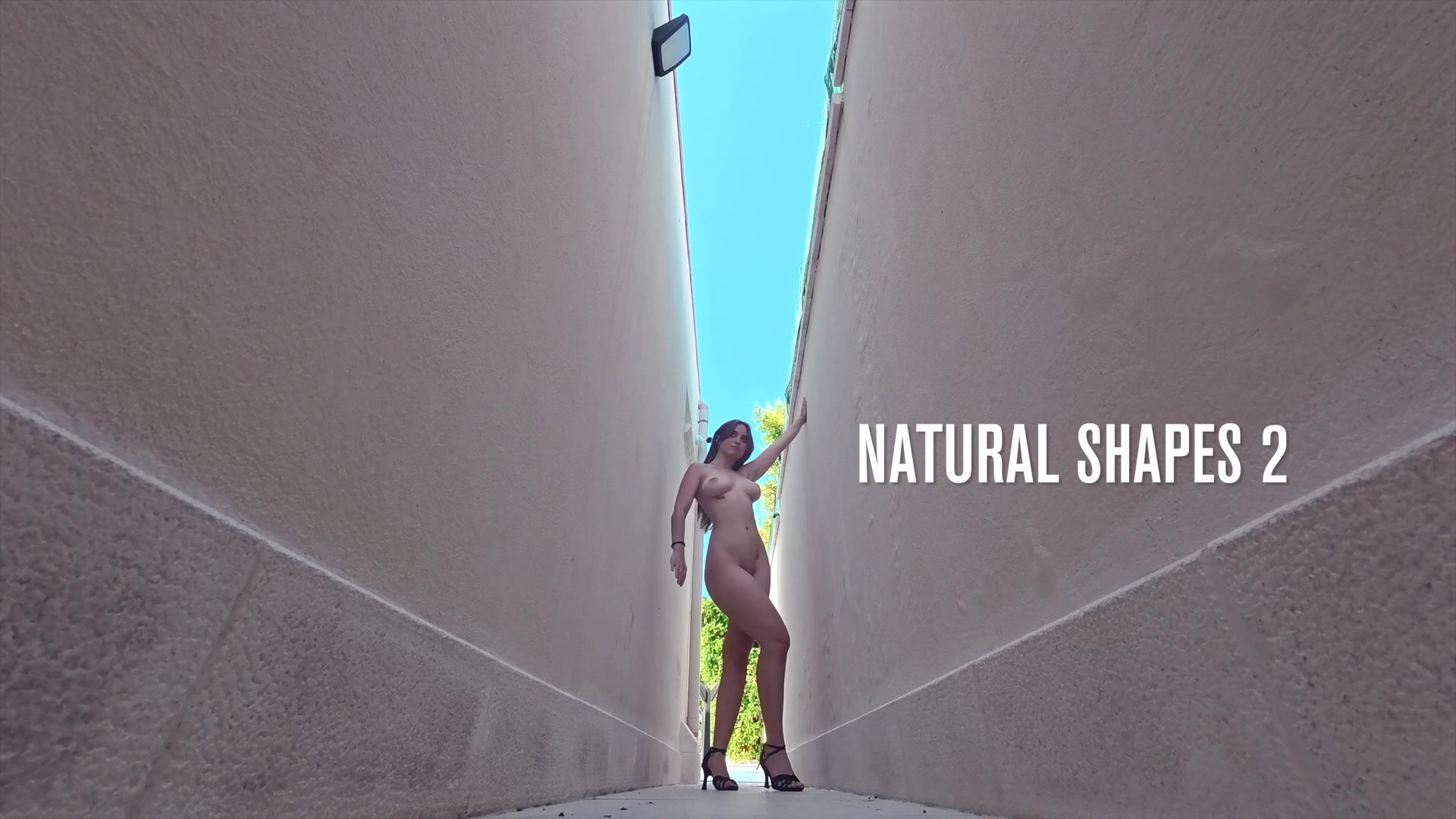 Natural Shapes 2