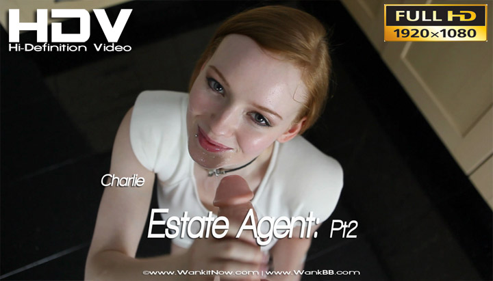 Estate Agent: Part 2