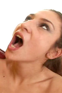 Photo HD Kitty Saliery - 4