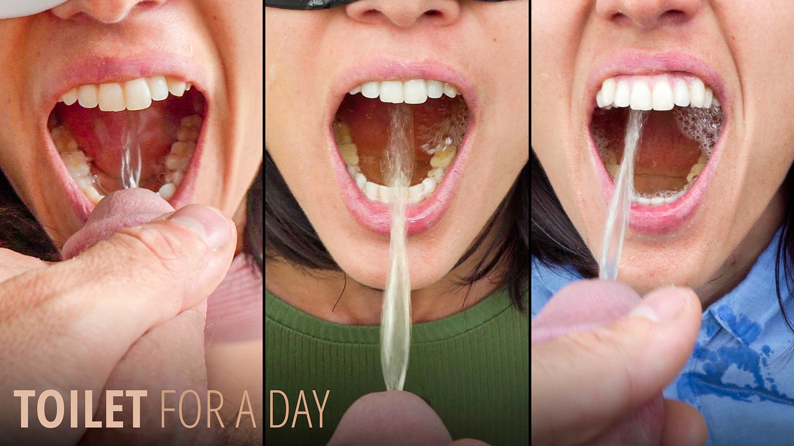 Toilet for a Day