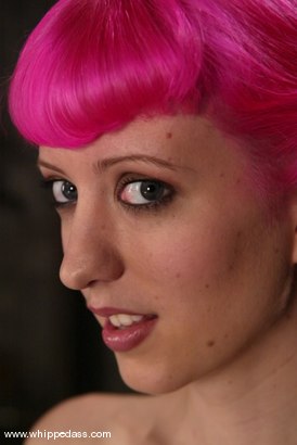 Photo HD Cherry Torn - 9