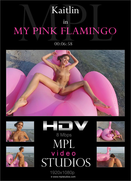 My Pink Flamingo