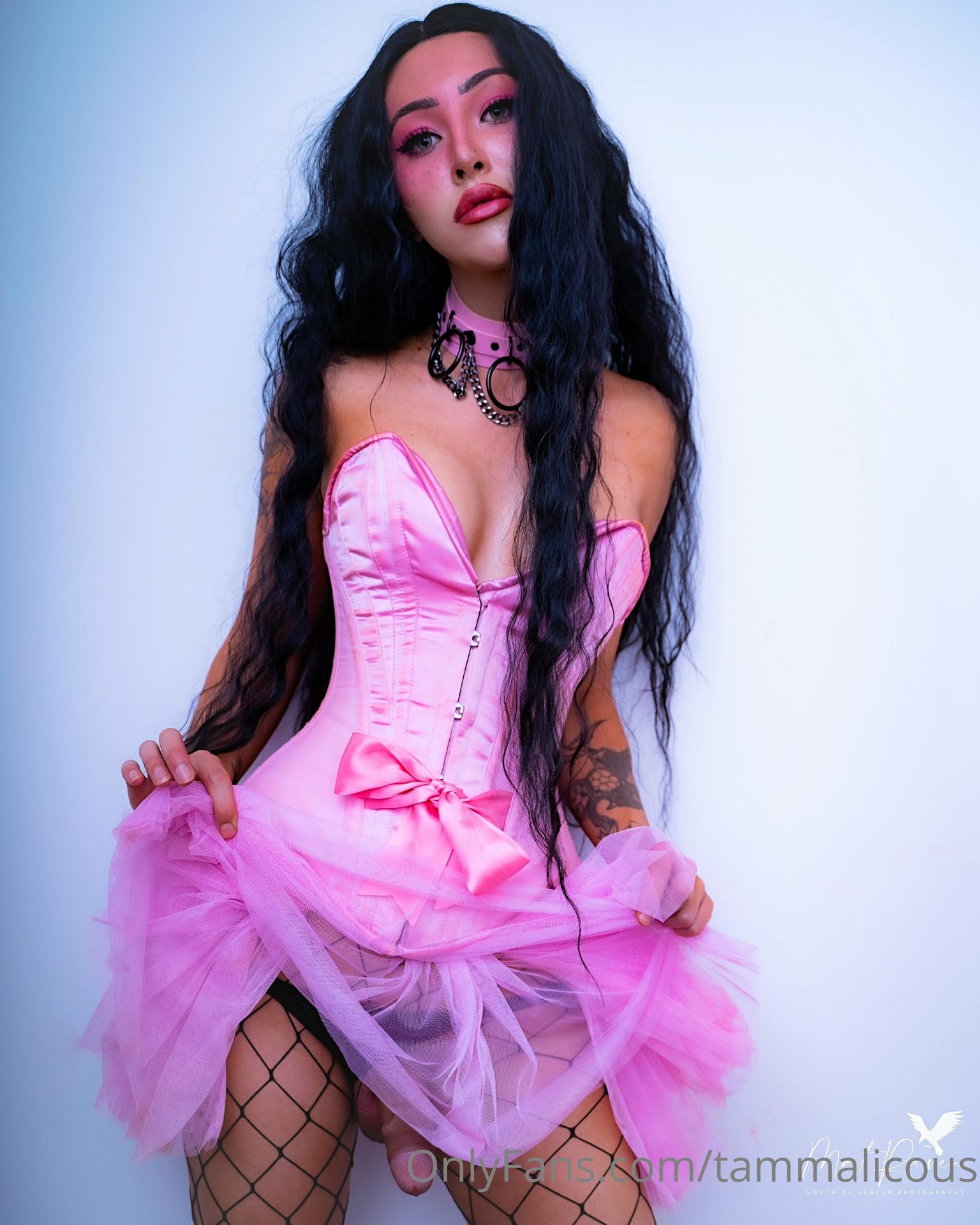 Tammy Dreamworx Fessée