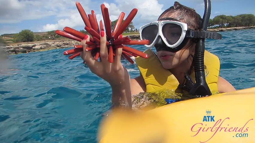 Kristina Sees a Lot of Cool Sea Creatures During Your Dive in Hawaii