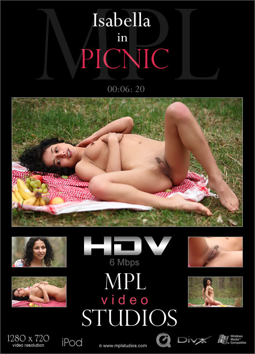 Picnic