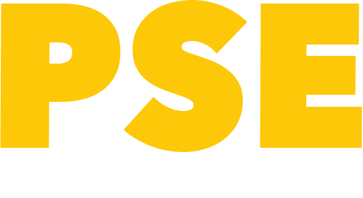 PSE Porn Star Experience