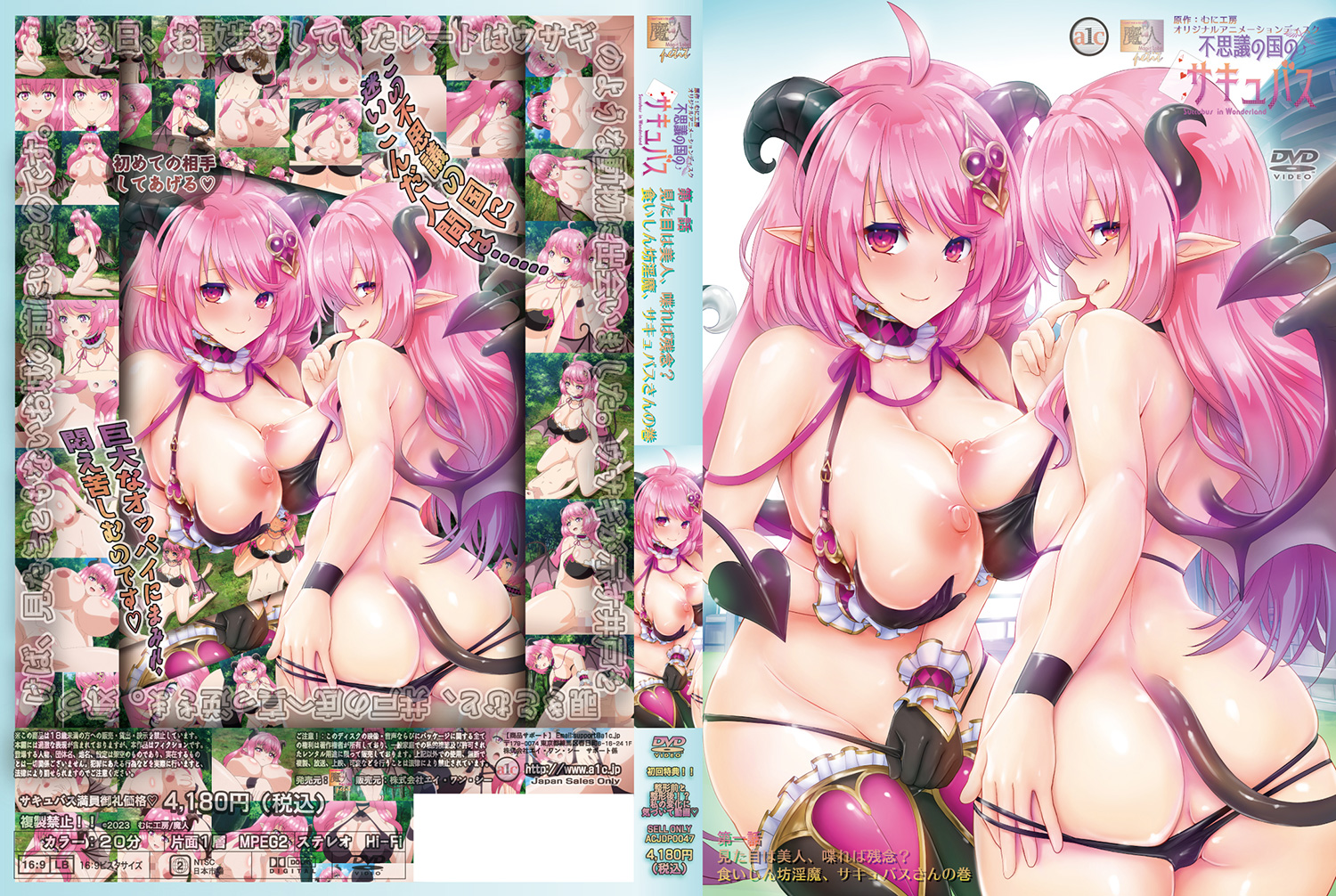 Fushigi no Kuni no Succubus 1